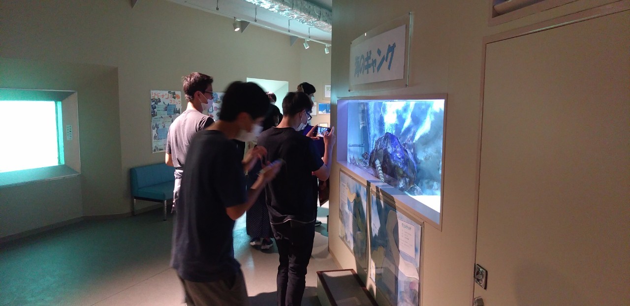 3日目シードーナッツ_201010_4