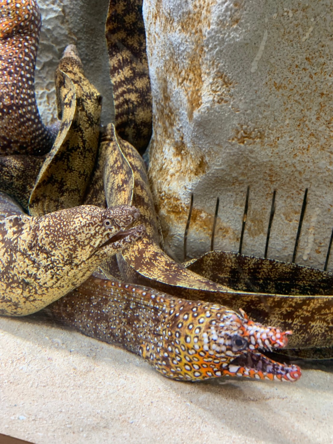 3日目ECTクルージング_201010_1