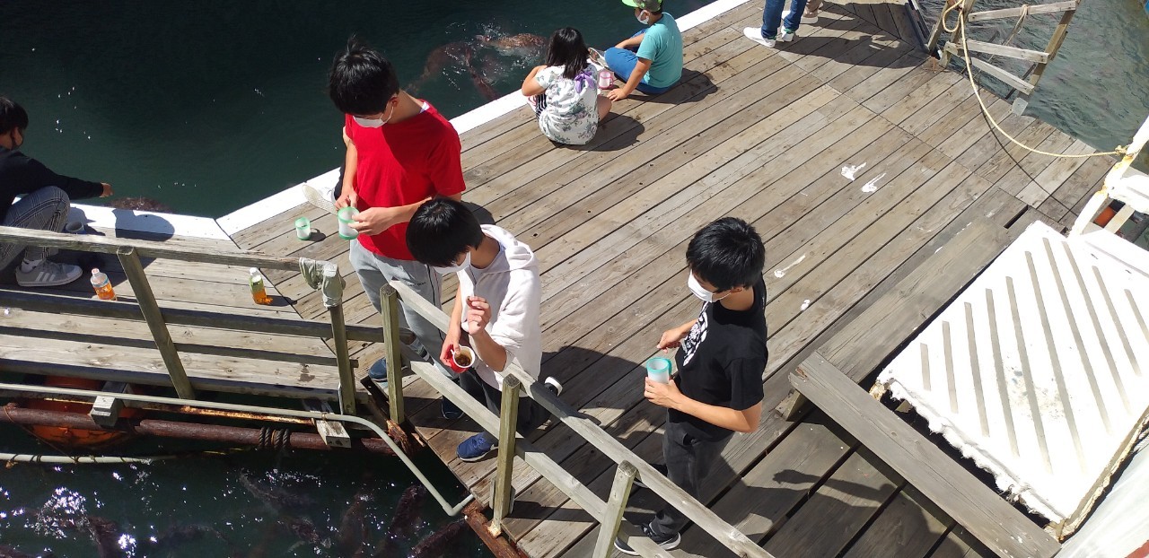 3日目シードーナッツ_201010_3