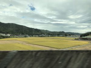 新幹線からの風景