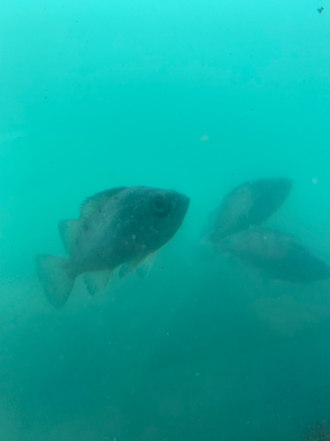 3日目ECTクルージング_201010_2