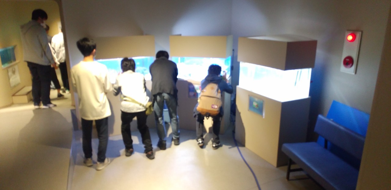 3日目シードーナッツ_201010_6