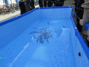 ⑪3M2釣り2