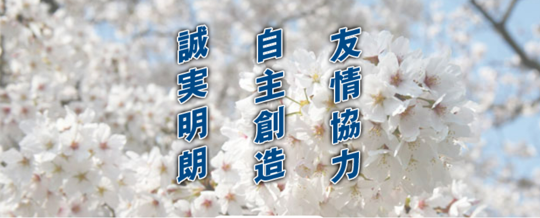 about_bg